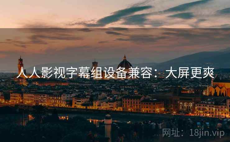 人人影视字幕组设备兼容：大屏更爽