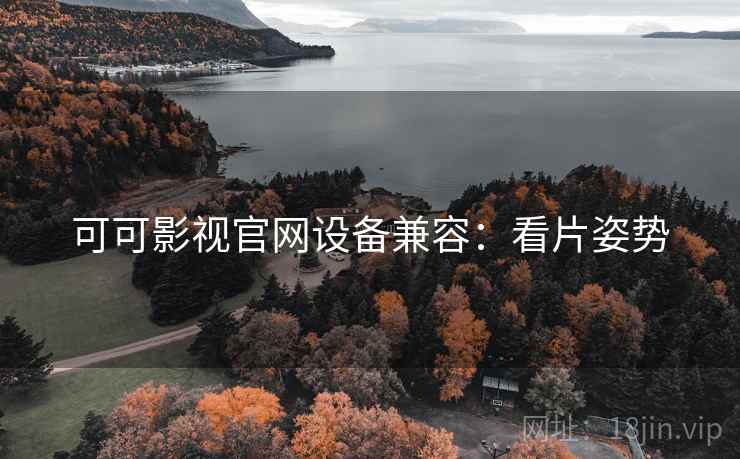 可可影视官网设备兼容：看片姿势