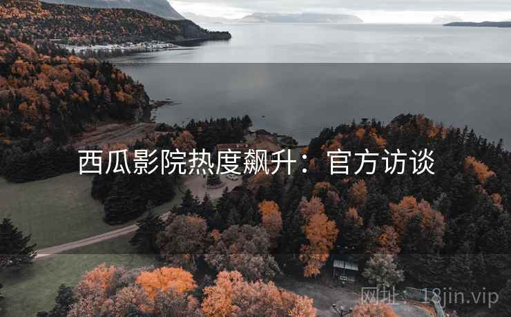 西瓜影院热度飙升：官方访谈